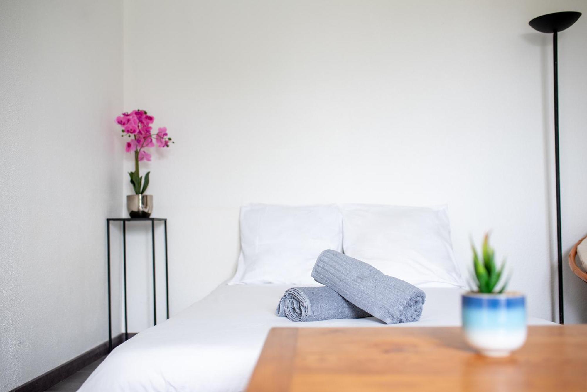 T2 Rangueil - Terrasse + 2 Parkings - 4 Personnes Daire Toulouse Dış mekan fotoğraf